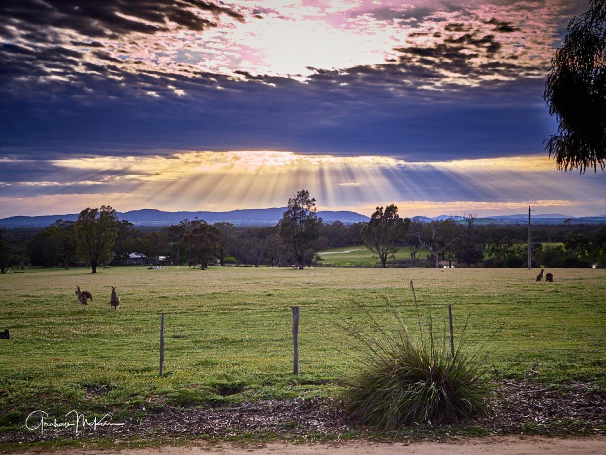 Grampians Pioneer Cottages Halls Gap Bagian luar foto