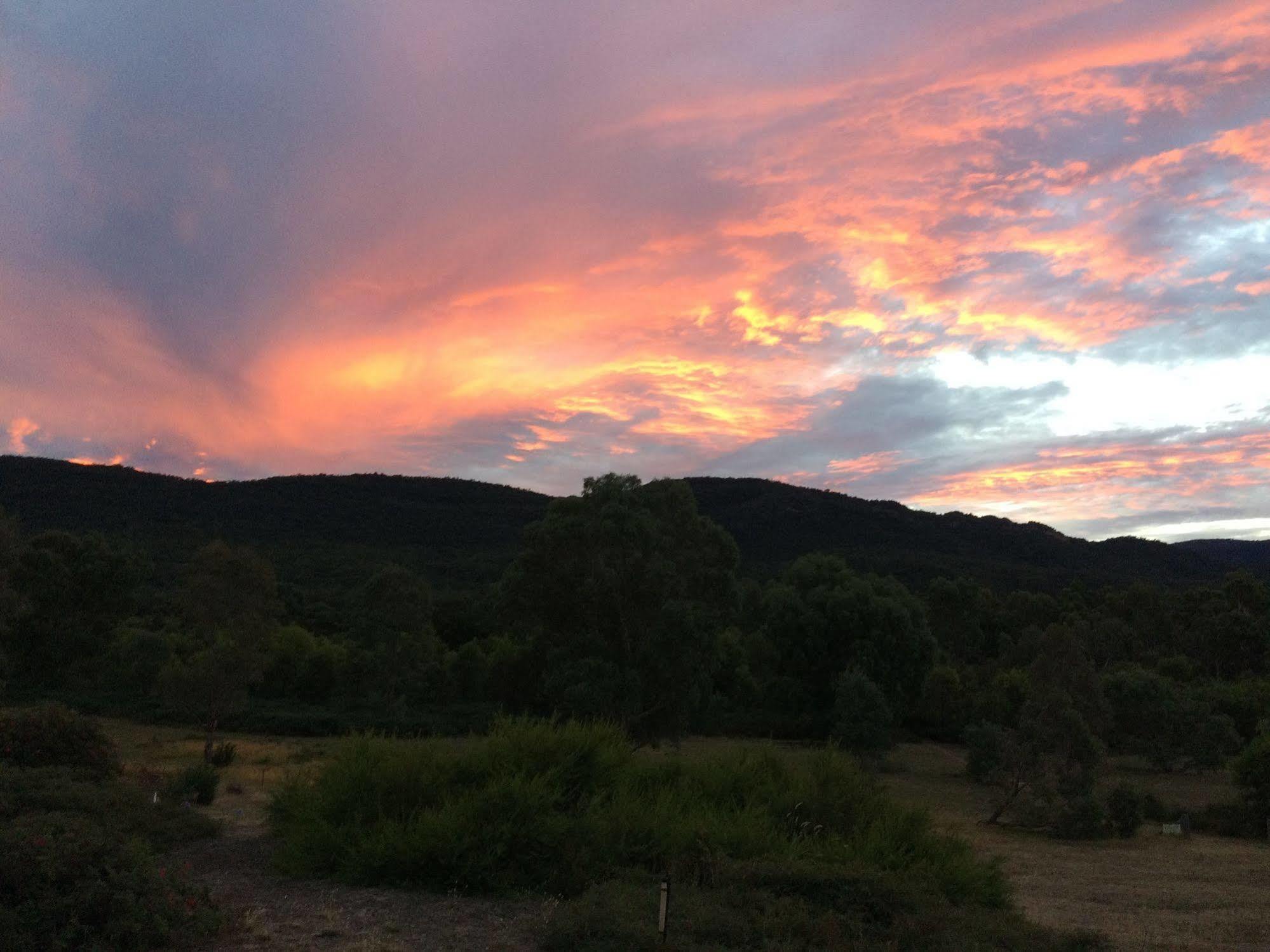 Grampians Pioneer Cottages Halls Gap Bagian luar foto